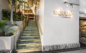The Equus